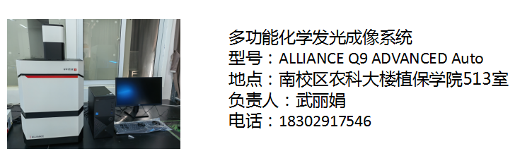 多功能化学发光成像系统武丽娟.png