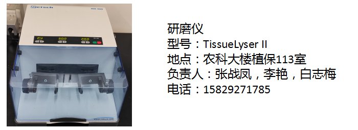 研磨仪张战凤李艳白志梅.png