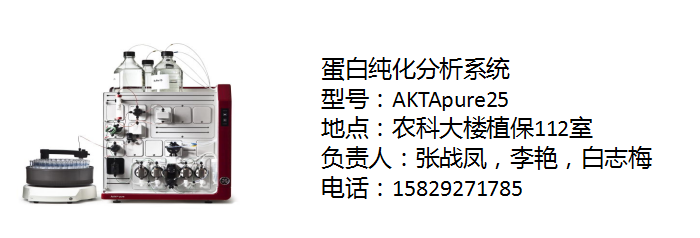 蛋白纯化分析系统张战凤李艳白志梅.png